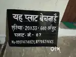 Plot for Investment