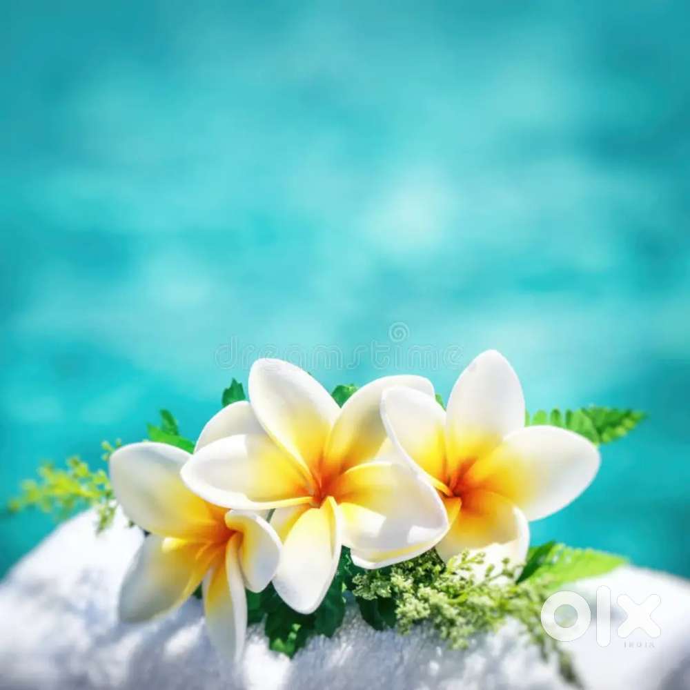 Female front office and telecalling therapist