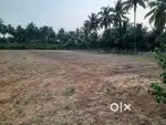 Land for sale veerakeralan