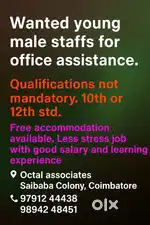 Male office assistant needed