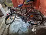 Electric cycle 11day