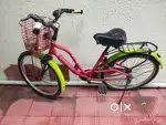 Ladybird cycle