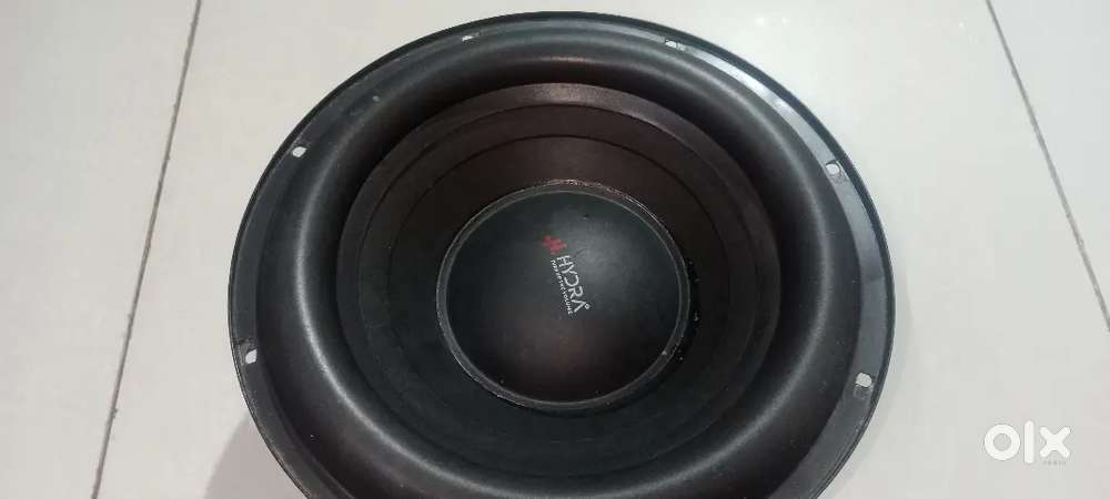 Subwoofer bass 12 inch
