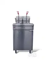 Fryer Commercial