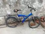 Is the best cycle and the children of the price 2000