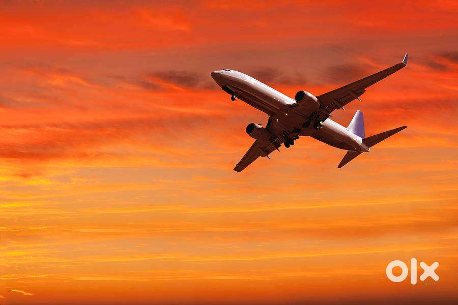 URGENT HIRING FOR TICKETING EXECUTIVE AND FOR GROUND STAFF