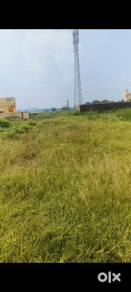 Value for money best price