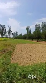 Milkiyat land on sale