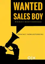 Sales boy from textile shop