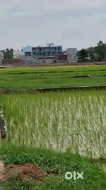 Airforce area Kusmhi Bazar