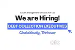 Debt Collection Executives–Chalakkudy, Thrissur