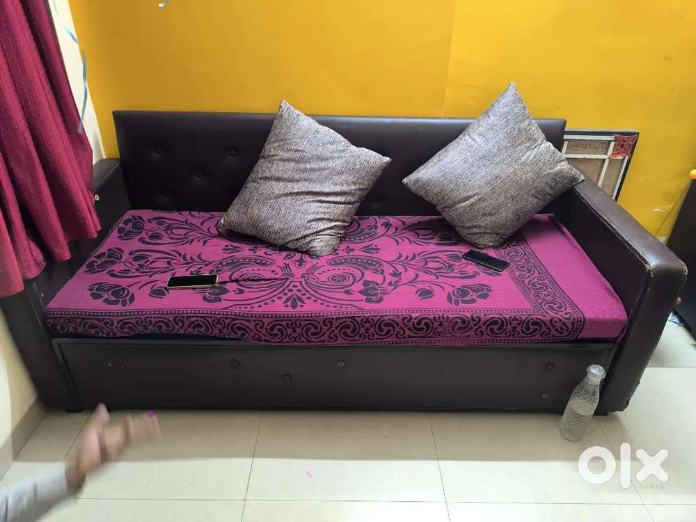 Brown sofa cum bed