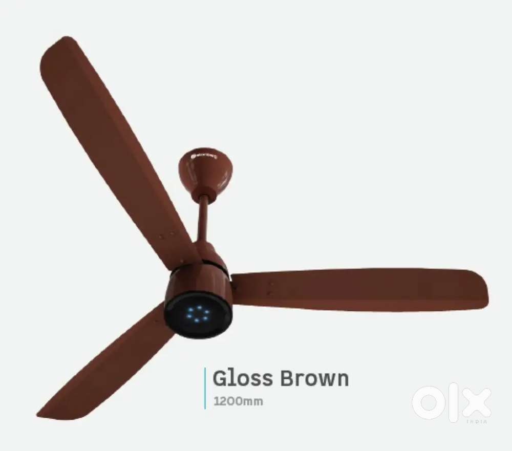 Payment  .collection