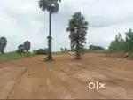 Urgent Plots for sale Offer price