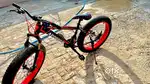 Fat cycle  in new condition