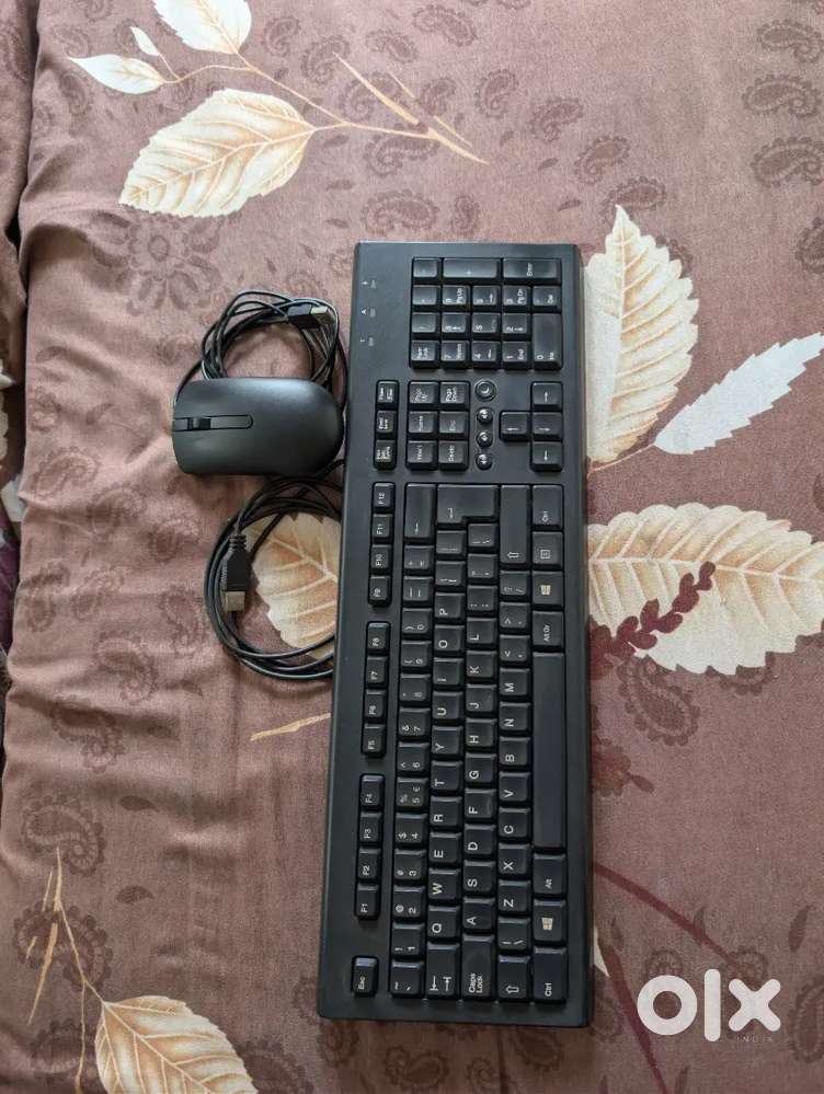 Keyboard and mouse