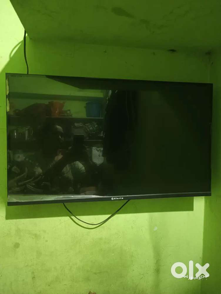 Elerte tv new 10 month old