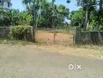 12 CENT ORIGINAL LAND FOUR SALE AT PALLIKARA