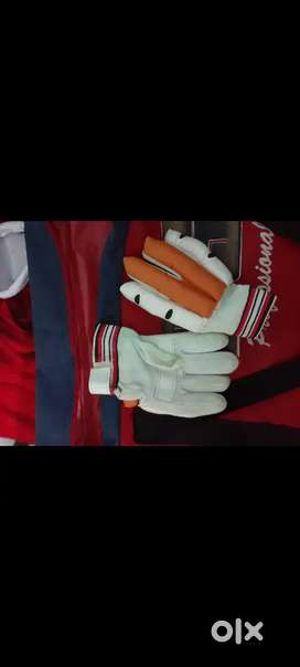 S.s Cricket kid
