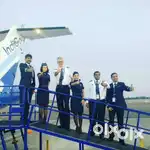 Domestic/International Airport Ground Staff Jobs in Indigo Airlines