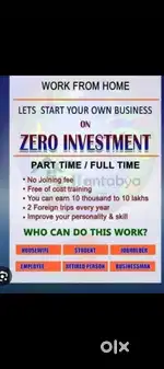 Work from home job