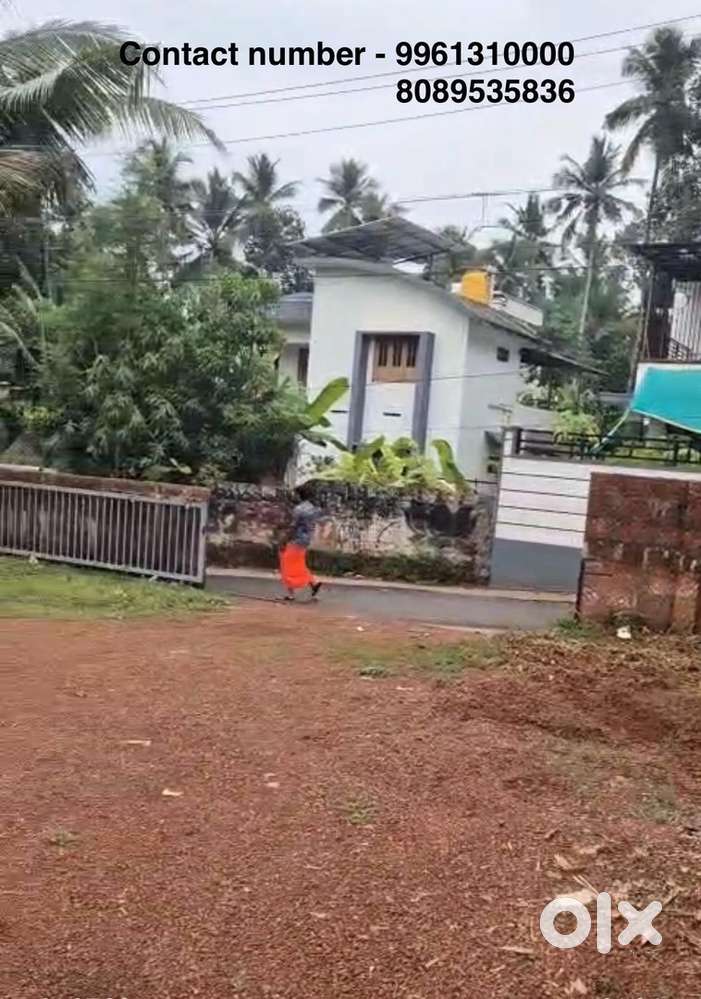 Well maintained plot