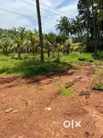 Plot for sale - edappal