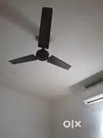 ceiling fan