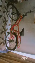 Simple cycle
