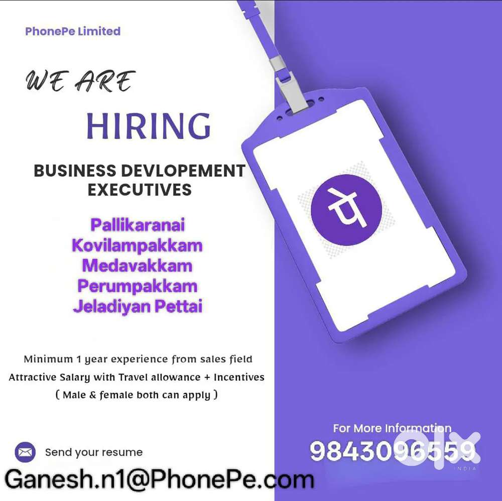 BUSINESS DEVELOPMENT EXECUTIVE