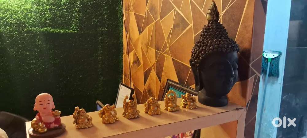 We need Well Trainned Dry - oil massage therapist NORTH EAST and Local