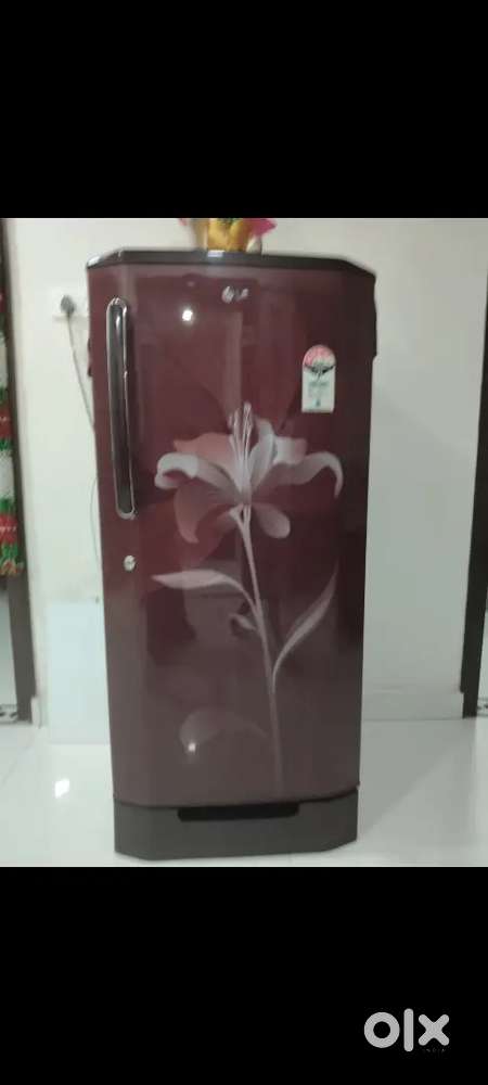 LG single door Fridge