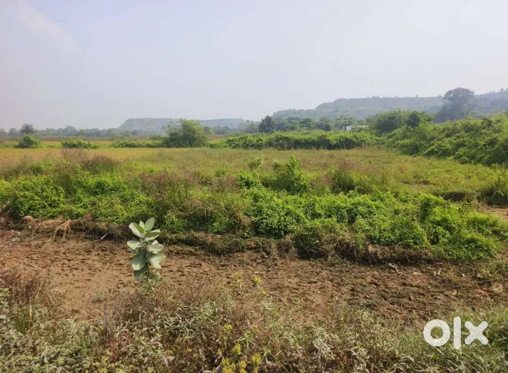 19 Katha CNT free Land available for sale