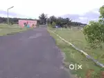 LOW BUDGET LAND FOR SALE NEAR PAPPAMPATTI