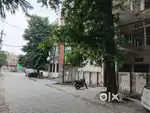 Plot & House