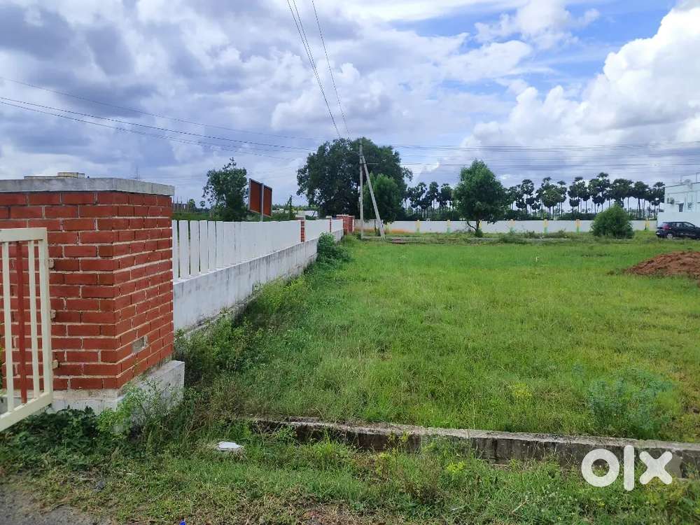 PLOTS 25&30&50,100 Ankanala plots for sale in Near to town area