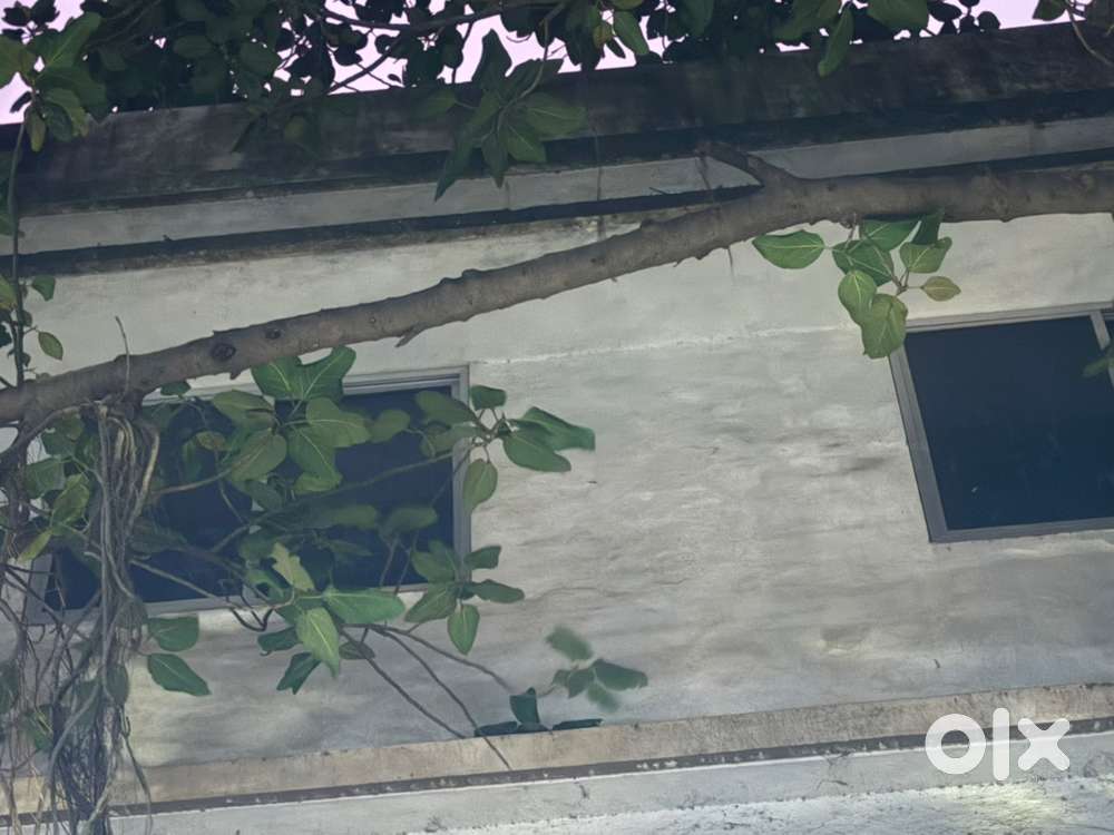 Opening for smart and active female candidate