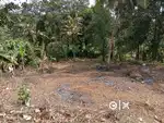 30 cent plot for sale in chengannur