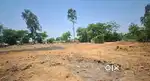 Agriculture land