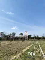 Badowala derhadun