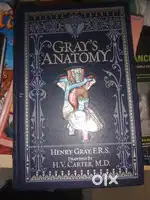 Gray's anatomy