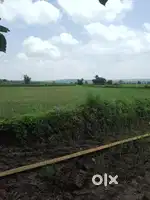 Khet ki jamin