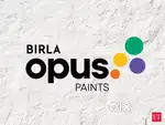 Franchise associate in adithya birla paints