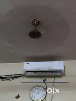 Bluestar inverter ac 5 star