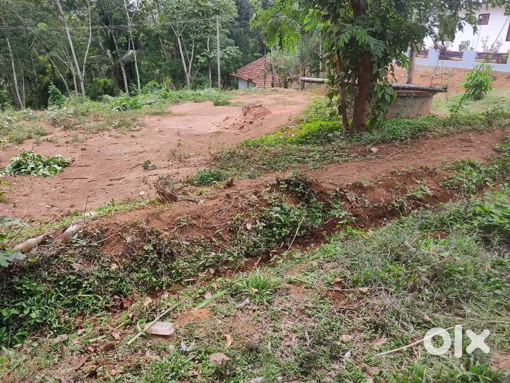പയ്യമ്പള്ളിയിൽ 10 cent house plot for sale.
