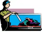 Fish tank cleaning and aquarium set-up arrangement