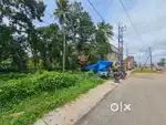 Highway Side Haripad Plot Cent 19 Lakhs