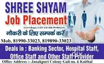All Office Staff Provider