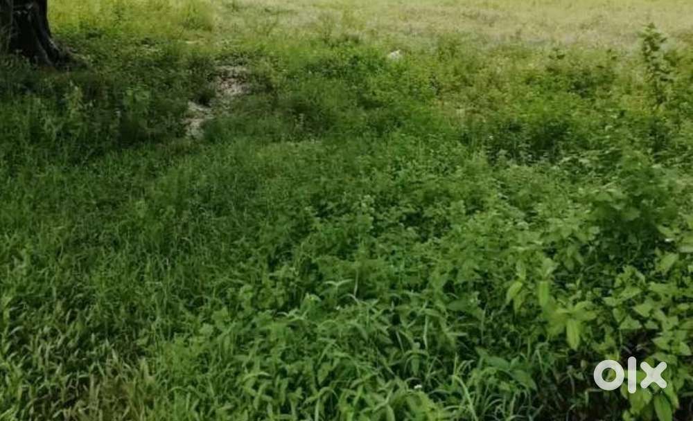 House with land selling