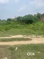 Money problem